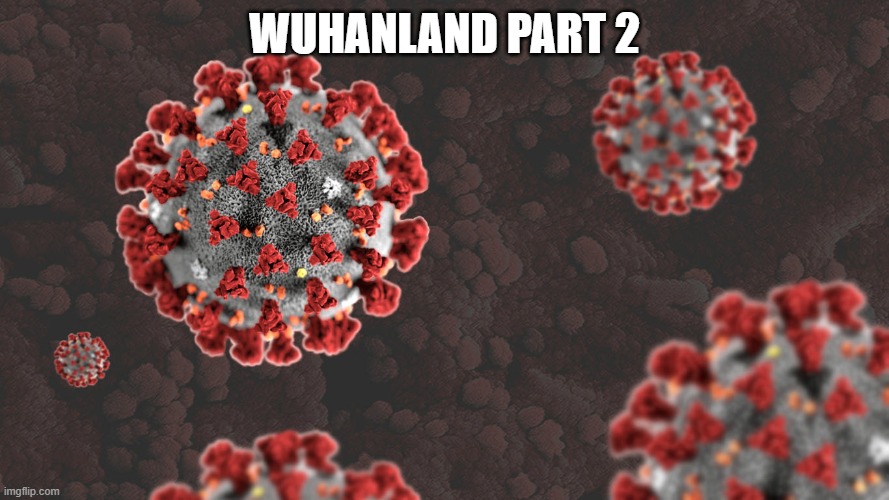 Coronavirus | WUHANLAND PART 2 | image tagged in coronavirus | made w/ Imgflip meme maker