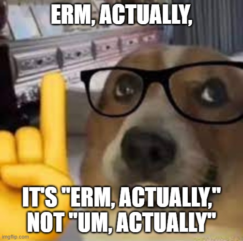 nerd dog | ERM, ACTUALLY, IT'S "ERM, ACTUALLY," NOT "UM, ACTUALLY" | image tagged in nerd dog | made w/ Imgflip meme maker