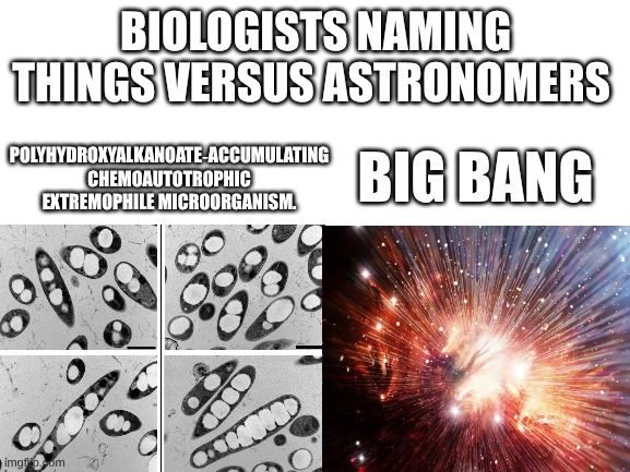 Blank White Template | BIOLOGISTS NAMING THINGS VERSUS ASTRONOMERS; POLYHYDROXYALKANOATE‑ACCUMULATING CHEMOAUTOTROPHIC EXTREMOPHILE MICROORGANISM. BIG BANG | image tagged in blank white template | made w/ Imgflip meme maker