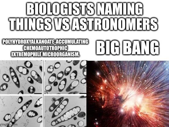 BHP meme #6 | BIOLOGISTS NAMING THINGS VS ASTRONOMERS; POLYHYDROXYALKANOATE‑ACCUMULATING CHEMOAUTOTROPHIC EXTREMOPHILE MICROORGANISM. BIG BANG | image tagged in blank white template | made w/ Imgflip meme maker