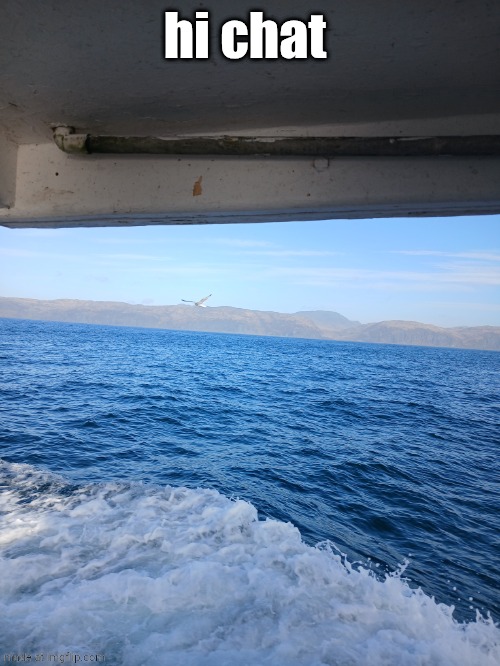 hi chat | made w/ Imgflip meme maker