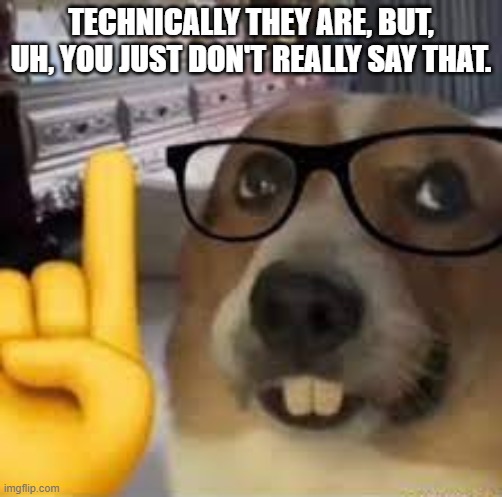 TECHNICALLY THEY ARE, BUT, UH, YOU JUST DON'T REALLY SAY THAT. | image tagged in nerd dog | made w/ Imgflip meme maker