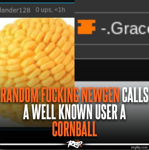 who | image tagged in random fucking newgen cornballs a well known user | made w/ Imgflip meme maker