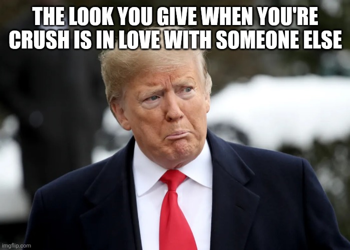 It does hurt | THE LOOK YOU GIVE WHEN YOU'RE CRUSH IS IN LOVE WITH SOMEONE ELSE | image tagged in donald trump | made w/ Imgflip meme maker