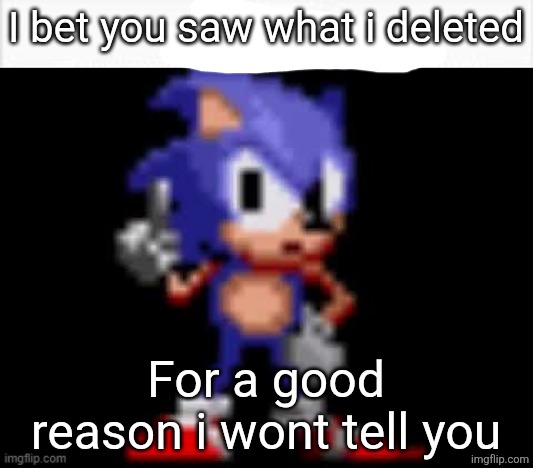 CD Sonic Nuh Uh | I bet you saw what i deleted; For a good reason i wont tell you | image tagged in cd sonic nuh uh | made w/ Imgflip meme maker