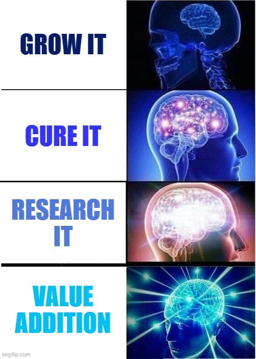 Expanding Brain Meme | GROW IT; CURE IT; RESEARCH IT; VALUE ADDITION | image tagged in memes,expanding brain | made w/ Imgflip meme maker