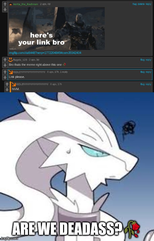 I don't care that he said NVM | ARE WE DEADASS?🥀 | image tagged in grumpy reshiram | made w/ Imgflip meme maker