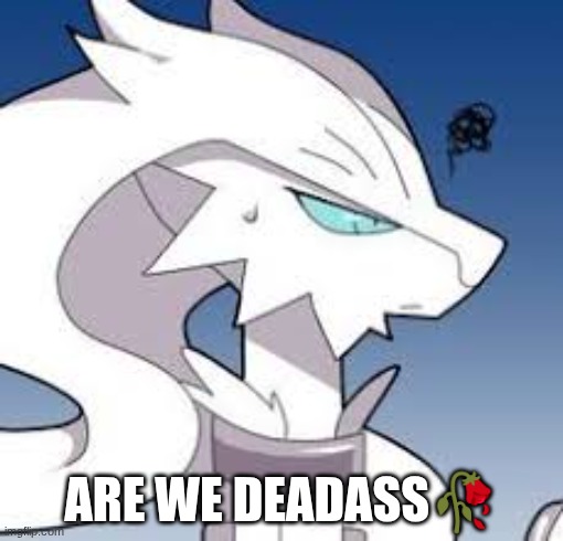 reshiram are we deadass Blank Meme Template