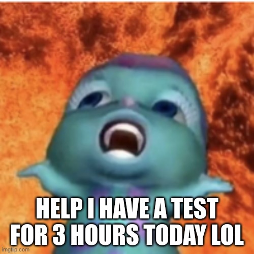 HELP I HAVE A TEST FOR 3 HOURS TODAY LOL | image tagged in the help | made w/ Imgflip meme maker
