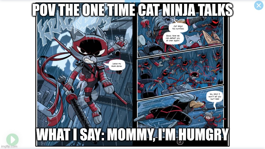 Cat ninja | POV THE ONE TIME CAT NINJA TALKS; WHAT I SAY: MOMMY, I'M HUMGRY | image tagged in cat | made w/ Imgflip meme maker