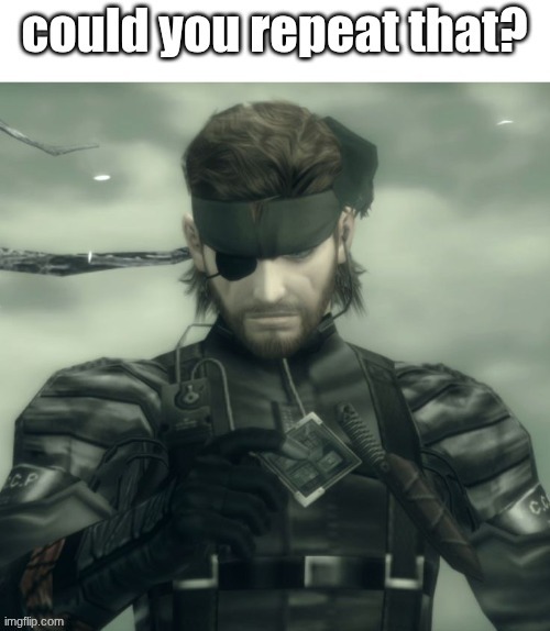 my snake is solid | image tagged in my snake is solid | made w/ Imgflip meme maker