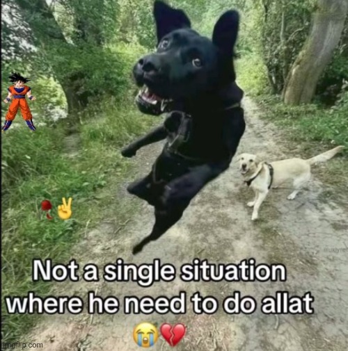 Bro moving like an early 2000's sonic character official render | made w/ Imgflip meme maker