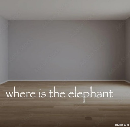 where is the elephant | image tagged in where is the elephant | made w/ Imgflip meme maker