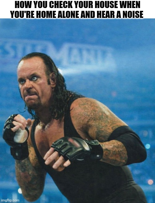 How You Check The House | HOW YOU CHECK YOUR HOUSE WHEN YOU'RE HOME ALONE AND HEAR A NOISE | image tagged in chrisjoines1 | made w/ Imgflip meme maker