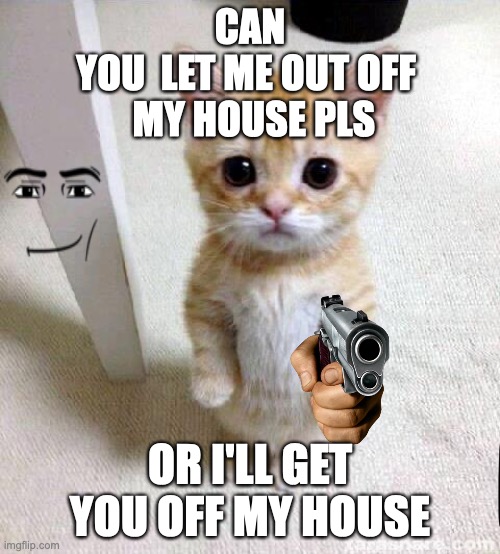 Cute Cat Meme | CAN 
YOU  LET ME OUT OFF 
 MY HOUSE PLS; OR I'LL GET YOU OFF MY HOUSE | image tagged in memes,cute cat | made w/ Imgflip meme maker