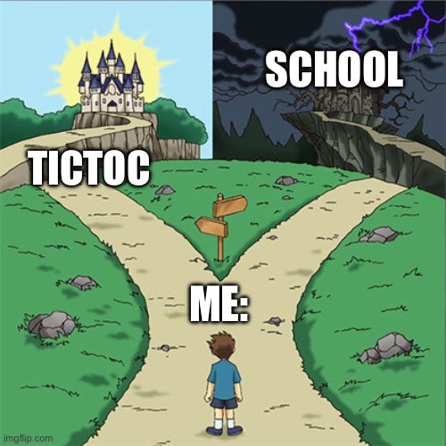 Two Paths | SCHOOL; TICTOC; ME: | image tagged in two paths | made w/ Imgflip meme maker