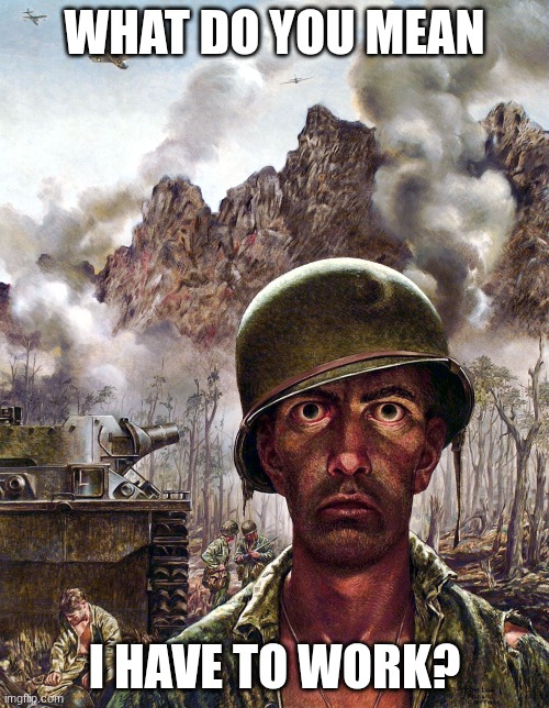 wdym bruh | WHAT DO YOU MEAN; I HAVE TO WORK? | image tagged in soldier death stare | made w/ Imgflip meme maker