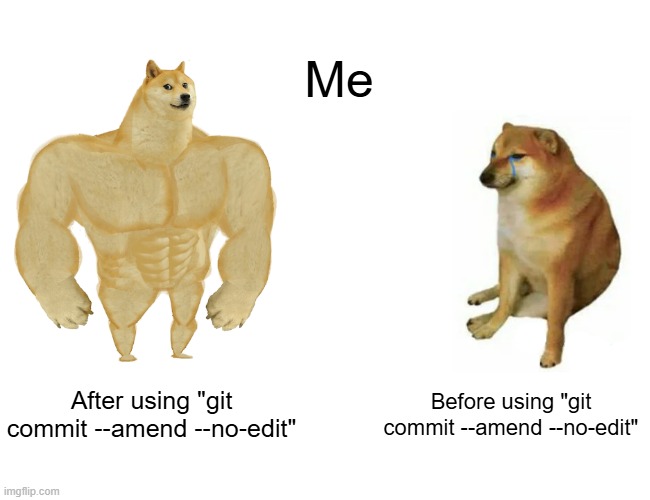 --amend --no-edit | Me; After using "git commit --amend --no-edit"; Before using "git commit --amend --no-edit" | image tagged in memes,buff doge vs cheems,git,developer,devops,it | made w/ Imgflip meme maker