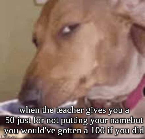 really bruh | when the teacher gives you a 50 just for not putting your namebut you would've gotten a 100 if you did | image tagged in really bruh | made w/ Imgflip meme maker