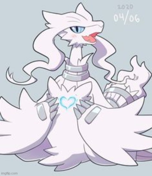 reshiram is just adorable | image tagged in reshiram is just adorable | made w/ Imgflip meme maker