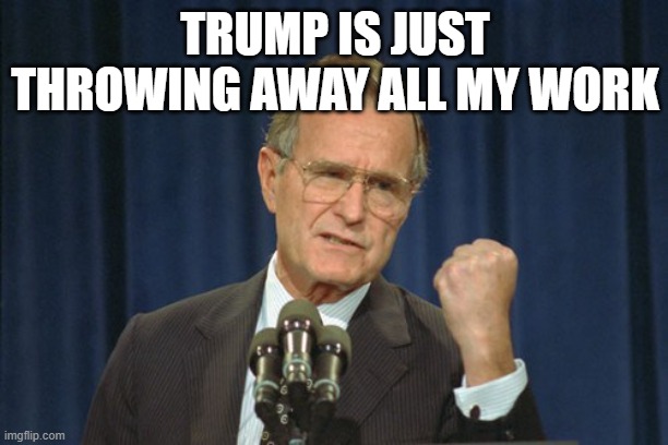 George Bush Gather | TRUMP IS JUST THROWING AWAY ALL MY WORK | image tagged in george bush gather | made w/ Imgflip meme maker
