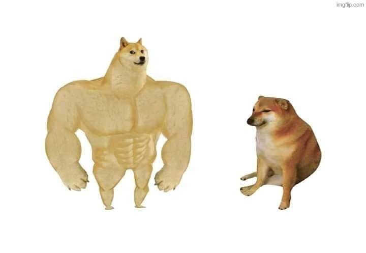 6 | image tagged in doge then and now | made w/ Imgflip meme maker