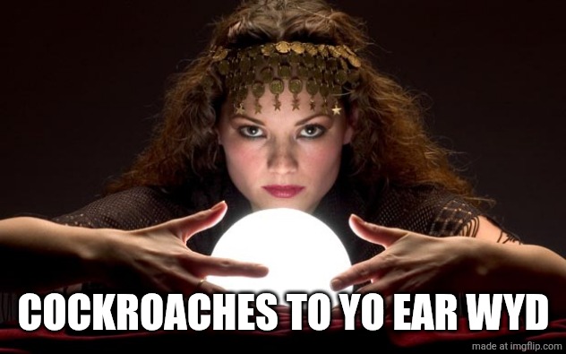 Psychic with Crystal Ball | COCKROACHES TO YO EAR WYD | image tagged in psychic with crystal ball | made w/ Imgflip meme maker