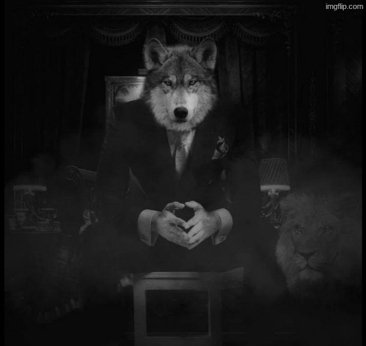 8 yo Is this lowkey fire? | image tagged in wolf on a chair | made w/ Imgflip meme maker