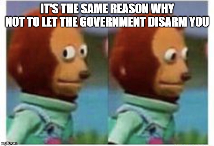 side eye teddy | IT'S THE SAME REASON WHY NOT TO LET THE GOVERNMENT DISARM YOU | image tagged in side eye teddy | made w/ Imgflip meme maker