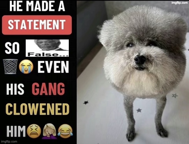 he made a statement so false | image tagged in he made a statement so false | made w/ Imgflip meme maker