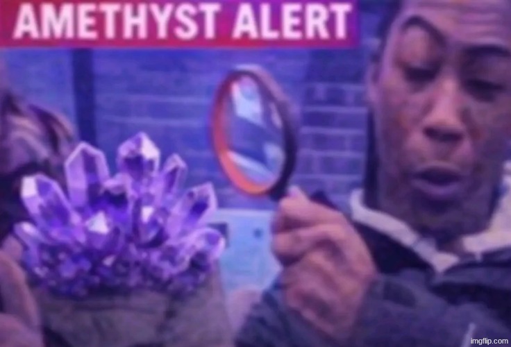 Amethyst alert | image tagged in amethyst alert | made w/ Imgflip meme maker