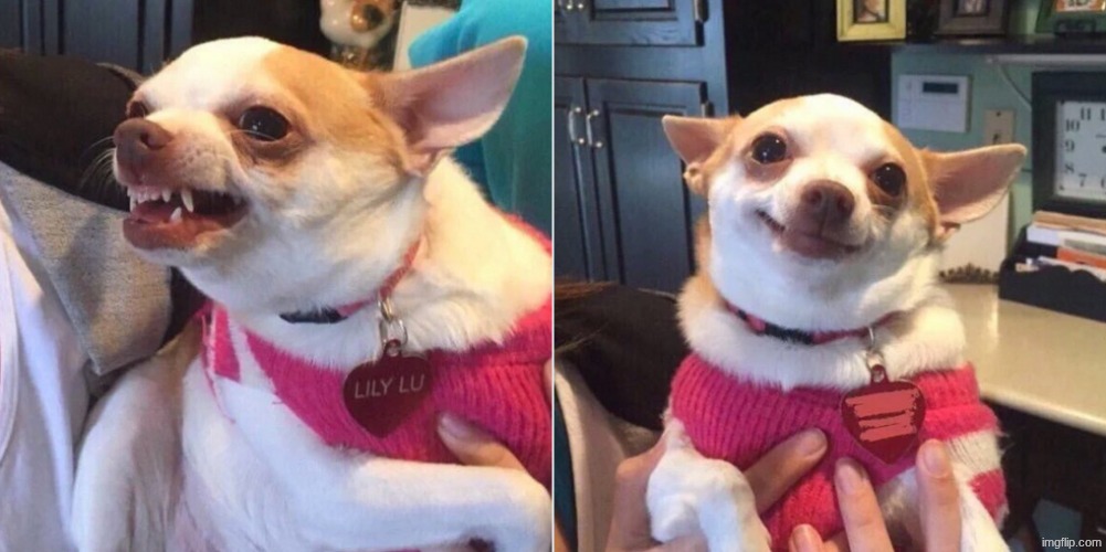 12X... | image tagged in perro enojado y feliz / dog angry | made w/ Imgflip meme maker
