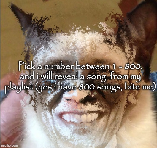 Cat obama | Pick a number between 1 - 800, and i will reveal a song  from my playlist (yes i have 800 songs, bite me) | image tagged in cat obama | made w/ Imgflip meme maker
