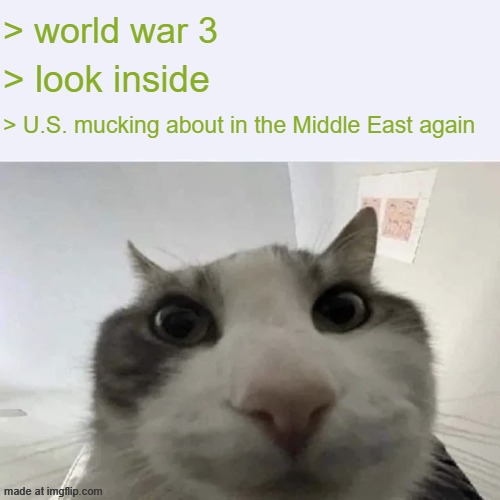 green text cat | > world war 3; > look inside; > U.S. mucking about in the Middle East again | image tagged in green text cat | made w/ Imgflip meme maker