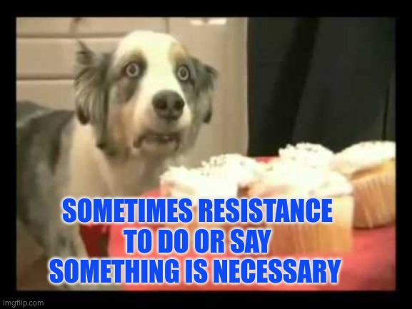 Sometimes resistance to do or say something is necessary | SOMETIMES RESISTANCE TO DO OR SAY SOMETHING IS NECESSARY | image tagged in dog cake suffering,autism,resistance,temptation,jo farmer,wisdom | made w/ Imgflip meme maker