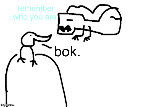 berd | remember who you are. bok. | made w/ Imgflip meme maker
