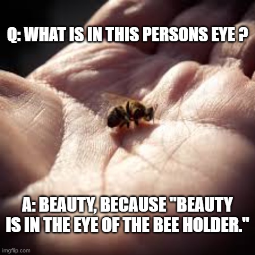 "Beauty is in the eye of the beholder".     -- funny play on words -- | Q: WHAT IS IN THIS PERSONS EYE ? A: BEAUTY, BECAUSE "BEAUTY IS IN THE EYE OF THE BEE HOLDER." | image tagged in funny,humor,beauty,sayings,bees,play on words | made w/ Imgflip meme maker