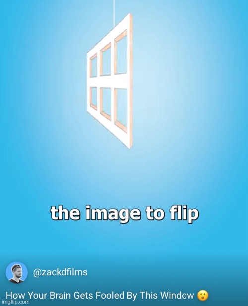 Reference | image tagged in imgflip | made w/ Imgflip meme maker