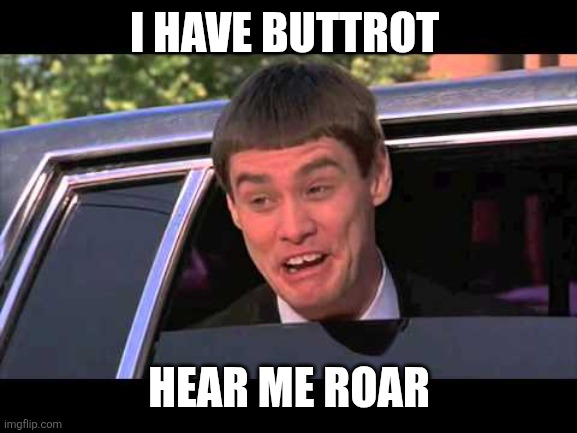Buttrot meme | I HAVE BUTTROT; HEAR ME ROAR | image tagged in lloyd head out window limosin,funny memes | made w/ Imgflip meme maker