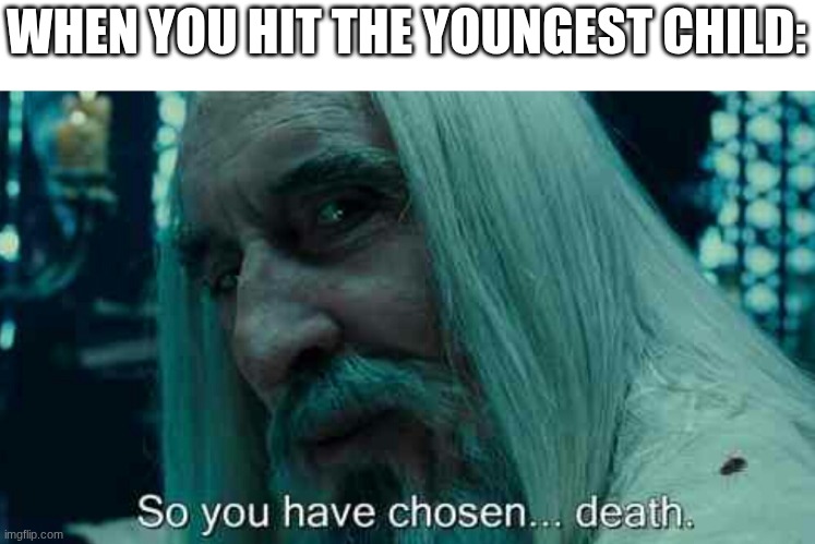 sibs | WHEN YOU HIT THE YOUNGEST CHILD: | image tagged in so you have chosen death | made w/ Imgflip meme maker
