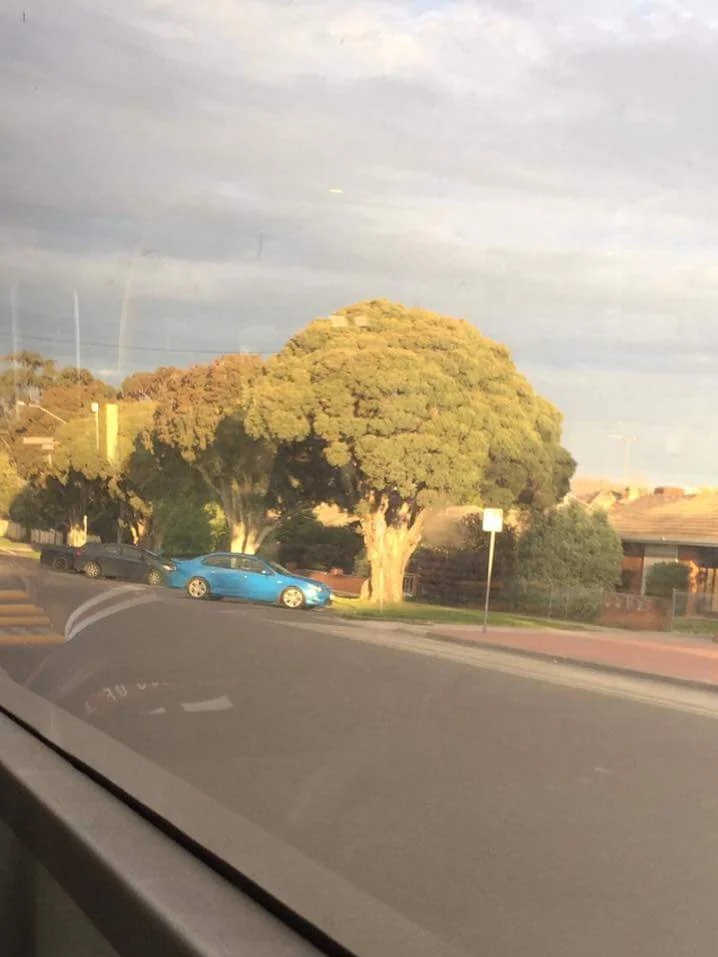 Chrisjoines1 Blank Meme Template