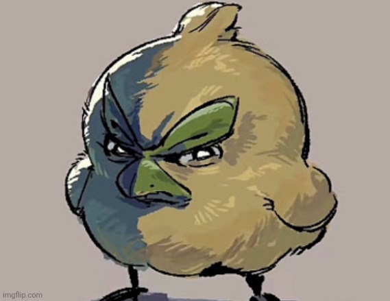 Angry bird | image tagged in browt stare | made w/ Imgflip meme maker