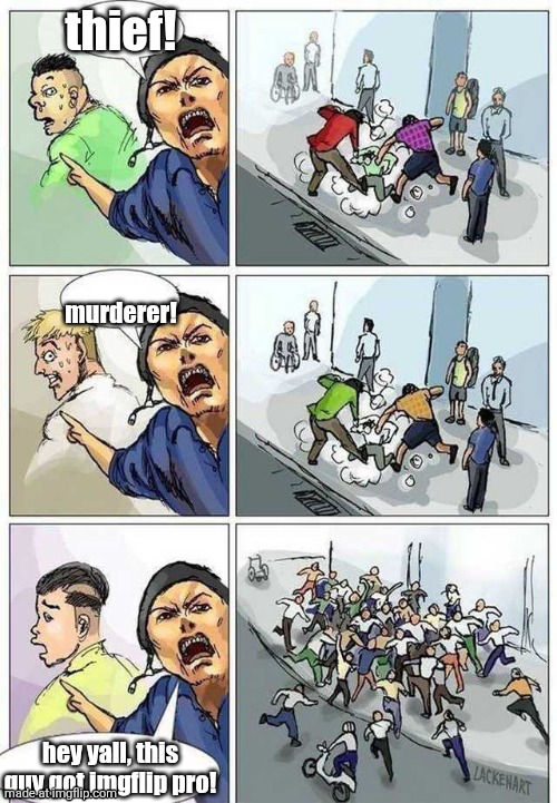 Thief Murderer | thief! murderer! hey yall, this guy got imgflip pro! | image tagged in thief murderer | made w/ Imgflip meme maker