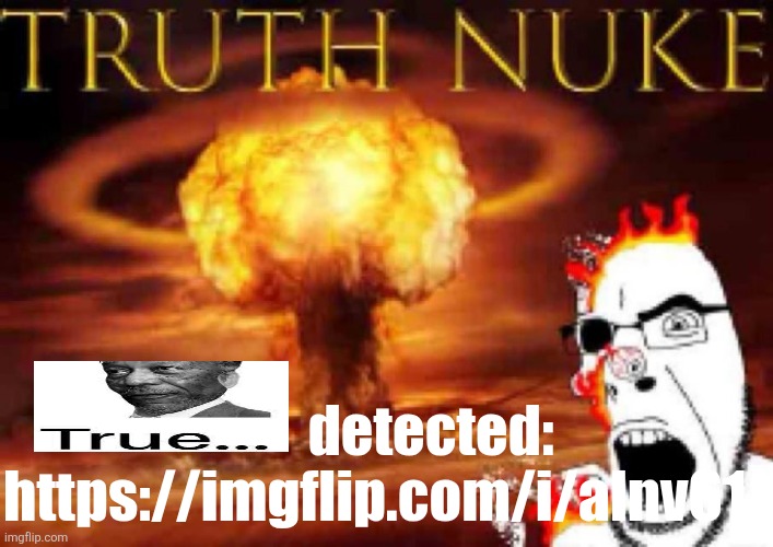 https://imgflip.com/i/alnv61 | detected: https://imgflip.com/i/alnv61 | image tagged in truth nuke | made w/ Imgflip meme maker