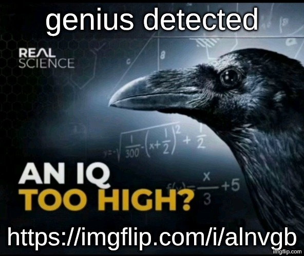 https://imgflip.com/i/alnvgb | genius detected; https://imgflip.com/i/alnvgb | image tagged in an iq too high | made w/ Imgflip meme maker