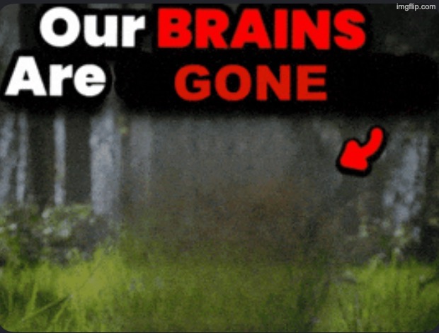 image tagged in our brains are gone | made w/ Imgflip meme maker