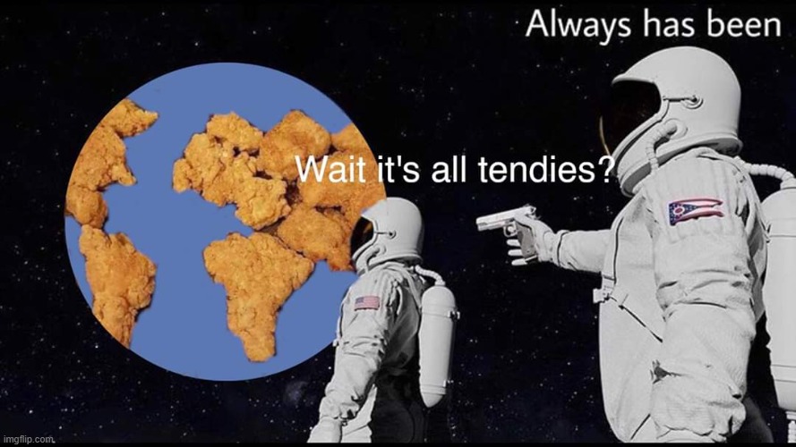 chicken tenters earth be like | image tagged in chicken tenters earth be like | made w/ Imgflip meme maker