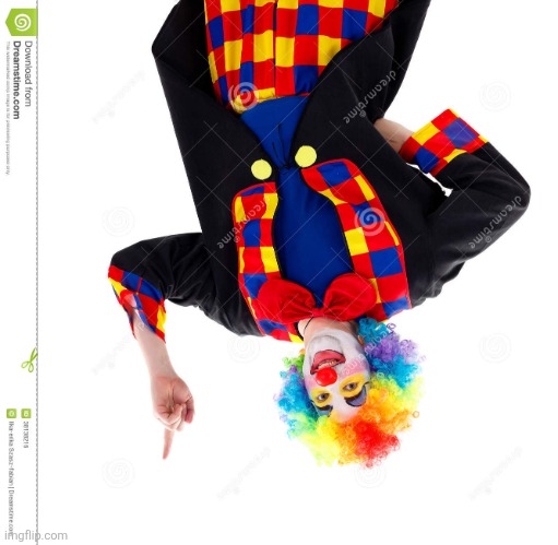 clown on the post below | image tagged in the guy above me | made w/ Imgflip meme maker