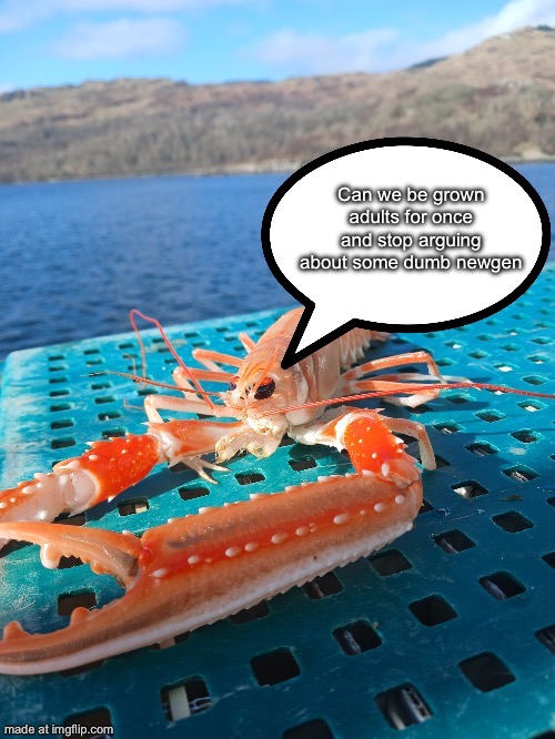 Speech bubble prawn | Can we be grown adults for once and stop arguing about some dumb newgen | image tagged in speech bubble prawn | made w/ Imgflip meme maker