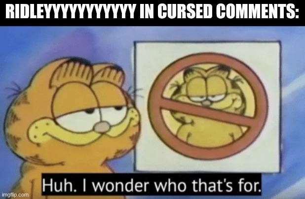 self reporting | RIDLEYYYYYYYYYYY IN CURSED COMMENTS: | image tagged in garfield wonders,ridleyyyyyyyyyyyyyyyyy | made w/ Imgflip meme maker